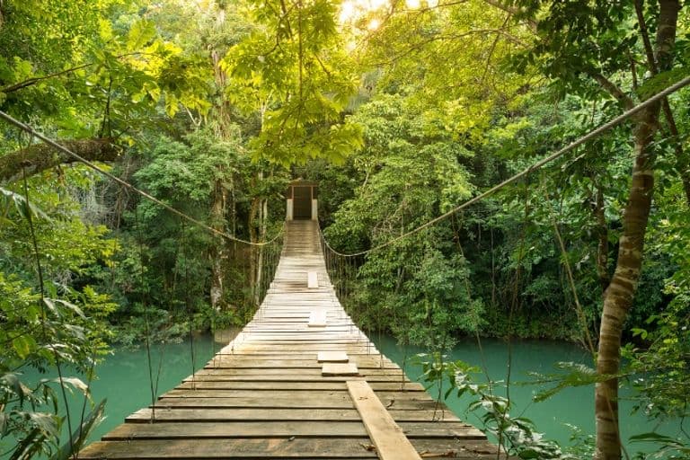 Zu den Schwerpunkten des aktuellen Miller Mittwoch Webinars gehört auch das mittelamerikanische Land Belize. 