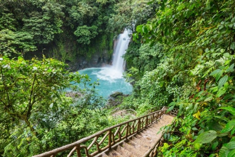 Landschaft im Regenwald in Costa Rica