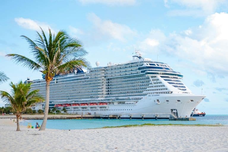 Die MSC Seashore der Reederei MSC Cruises liegt vor einem Strand mit Palmen