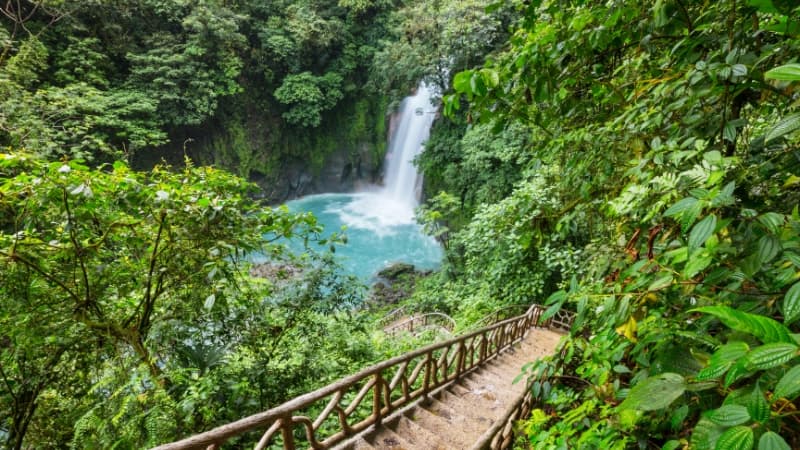 Landschaft im Regenwald in Costa Rica