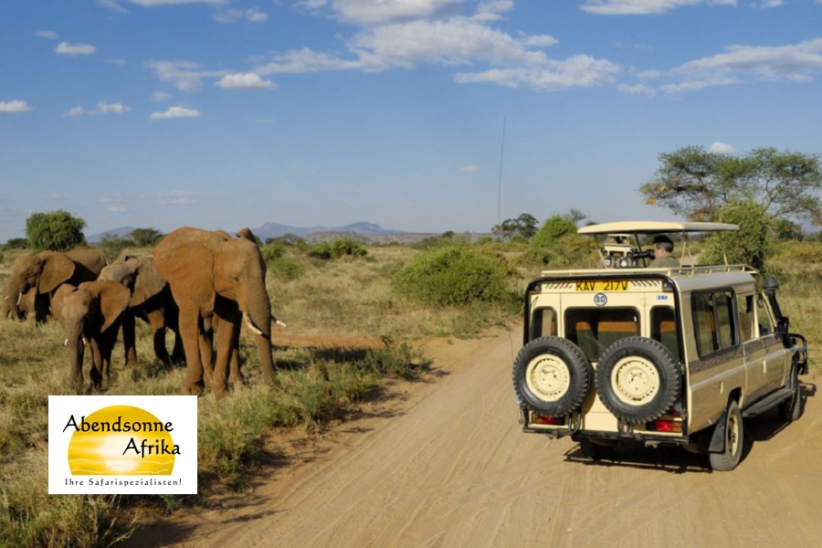 Kenia – „Out of Africa!“