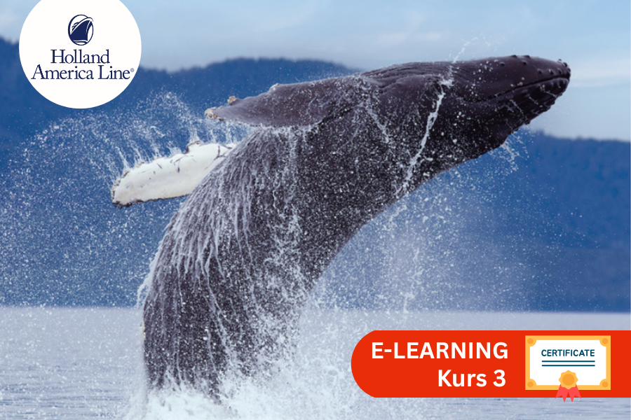 Holland America Line Kurs 3: Mit den Alaska-Experten ins ewige Eis
